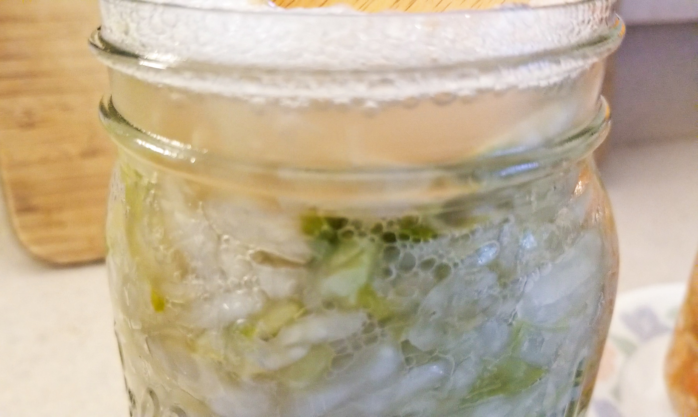 Fermenting sauerkraut bubbles