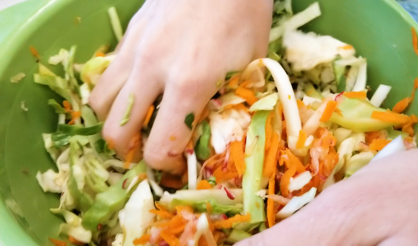 Mixing cabbage & salt into sauerkraut