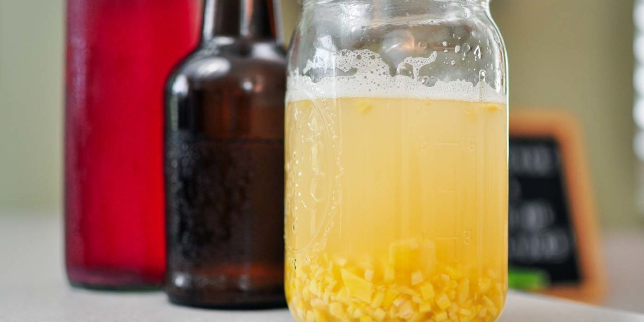 How to Make a Ginger Bug for Homemade Soda