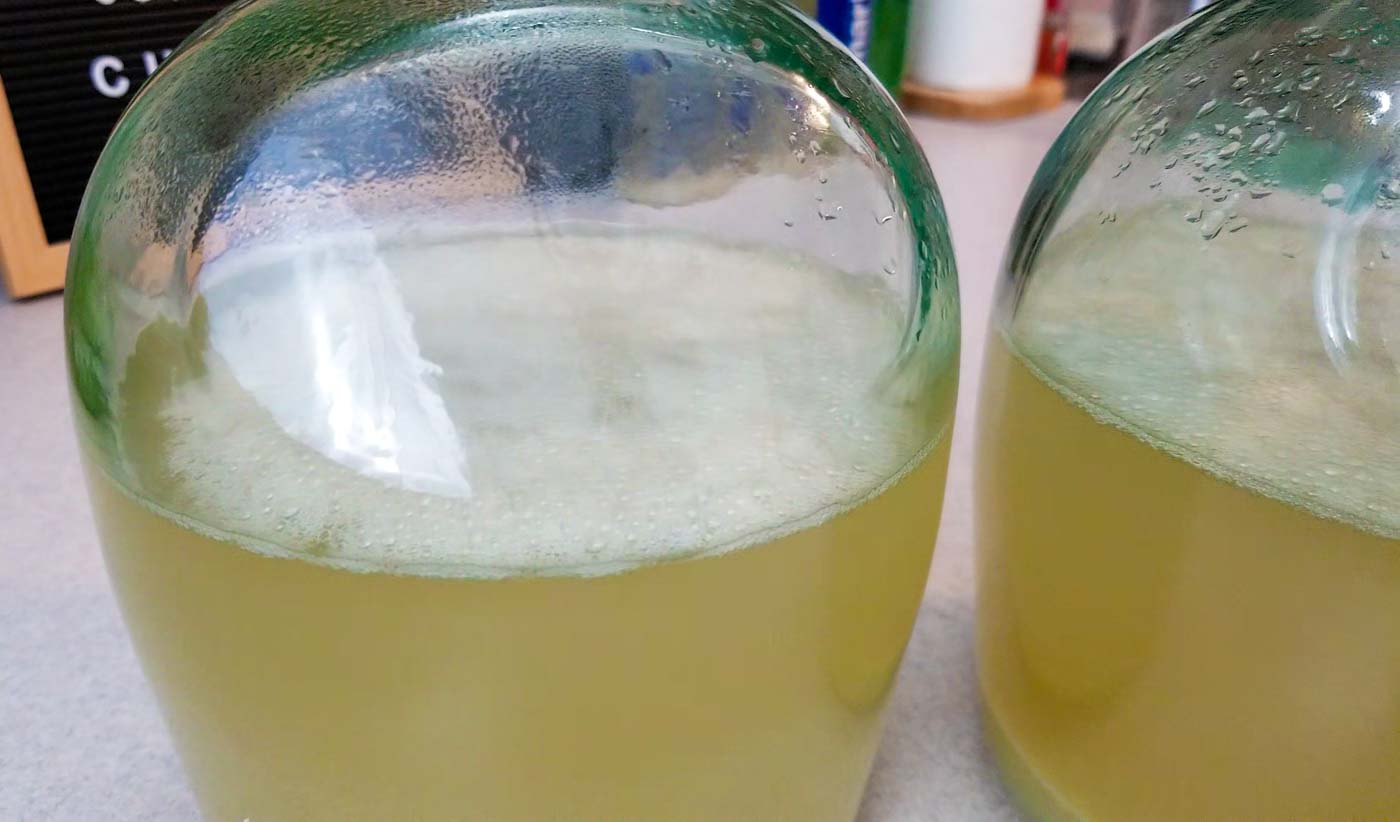 Homemade ginger ale soda fermentation