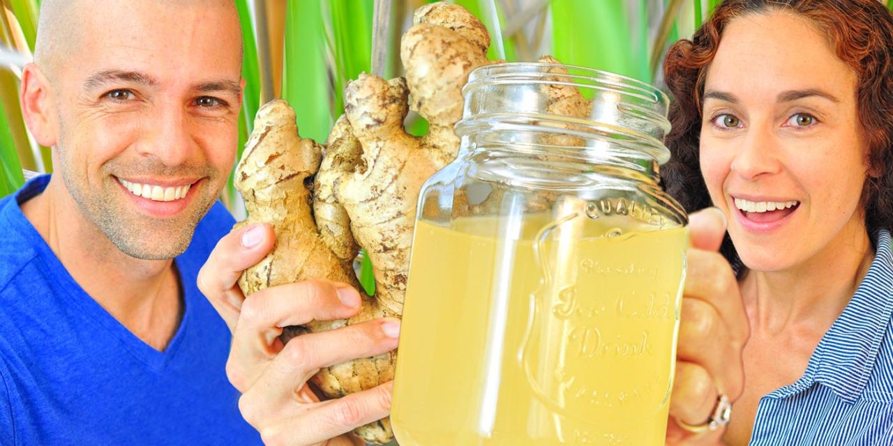 How to Make Lemongrass Ginger Ale (Beer) Soda from Ginger Bug