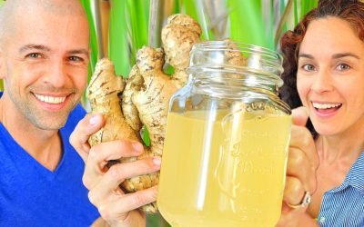 How to Make Lemongrass Ginger Ale (Beer) Soda from Ginger Bug