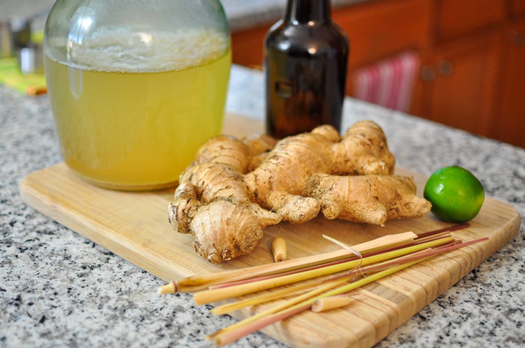 How to Make Lemongrass Ginger Ale (Beer) Soda from Ginger Bug - The ...