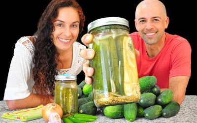 Homemade Lacto-Fermented Dill Pickle Recipe