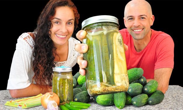 Homemade Lacto-Fermented Dill Pickle Recipe