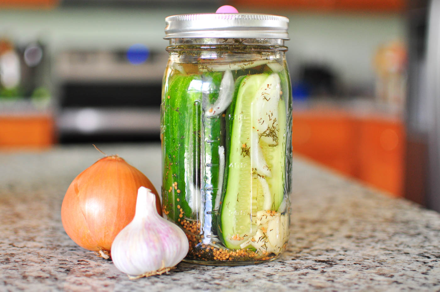 Homemade Lactofermented Dill Pickles Recipe & How to Make Pickles