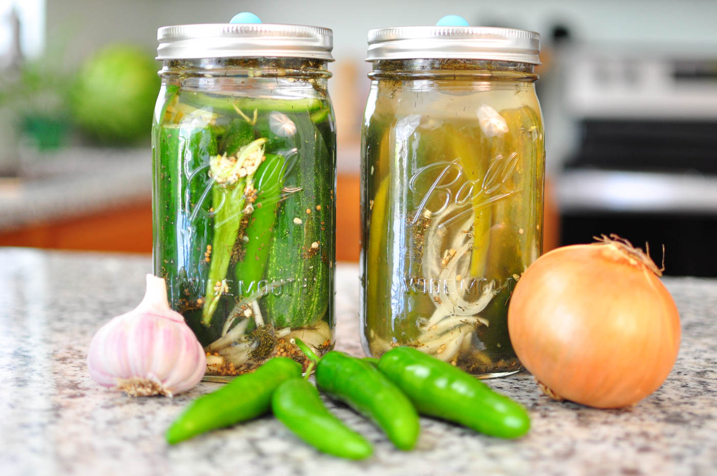 Spicy Dill Pickle Recipe Fermented Spicy Pickles
