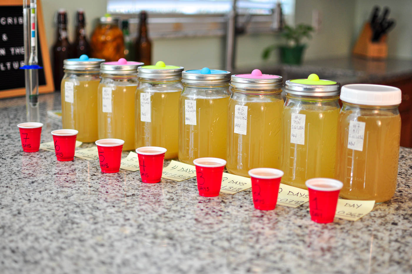 Homemade ginger beer alcohol content