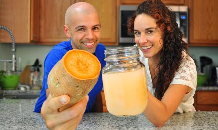 Sweet Potato Fly (Kvass) Fermented Soda Recipe