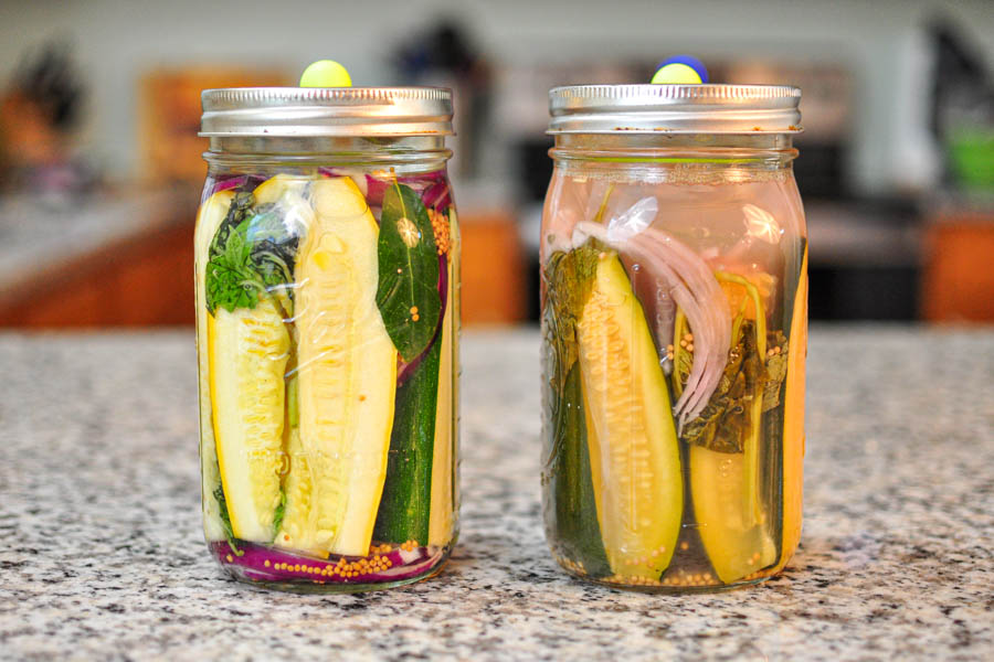 Lacto-Fermented Zucchini Squash Pickles