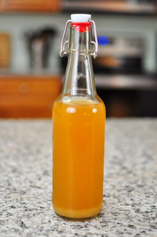 Water kefir molasses minerals