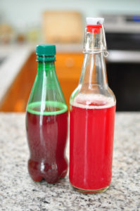 Making fermented sodas cranberry ginger bug