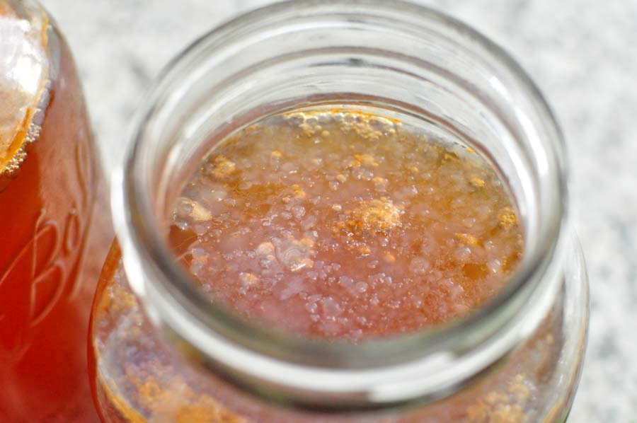 Growing scoby culture