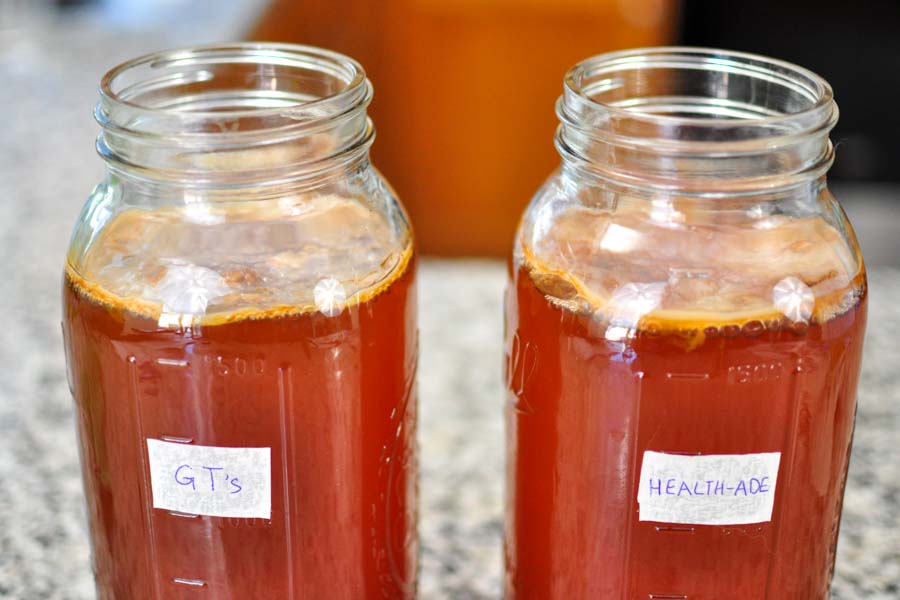 How to grow a scoby