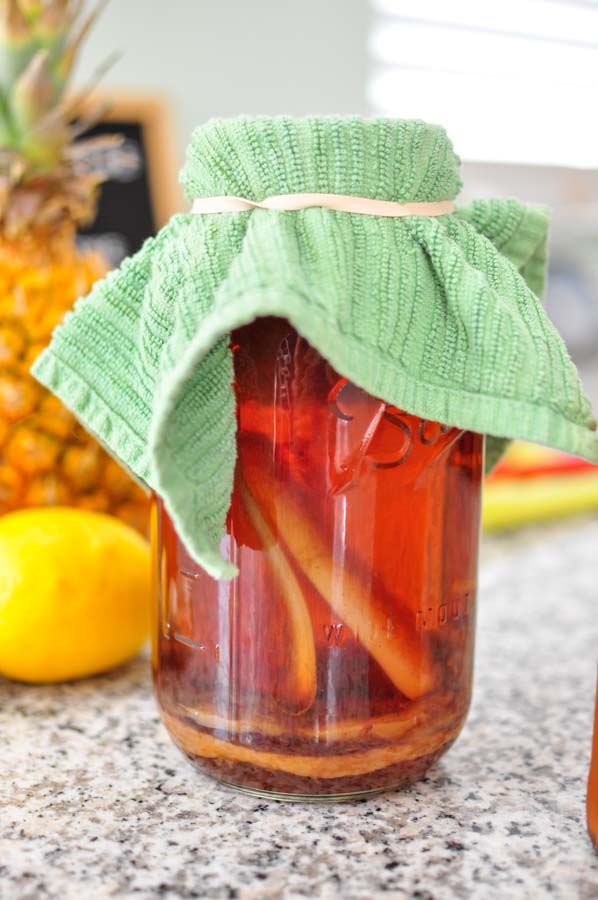 How to Make a Kombucha Scoby - The Fermentation Adventure