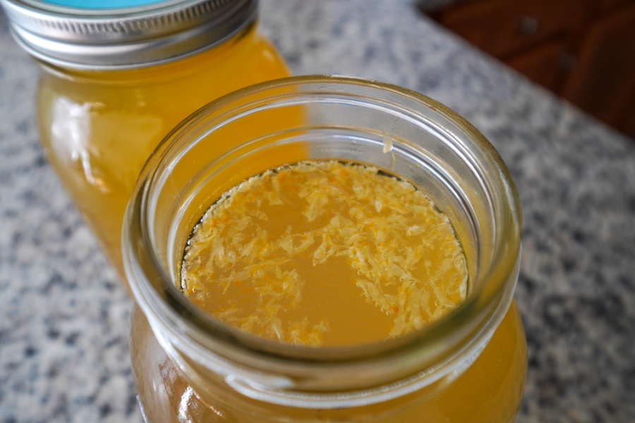 Fermented orange soda recipe