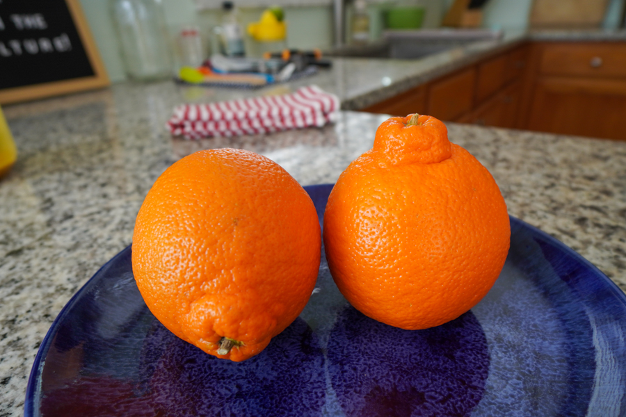 Oranges orange soda recipe