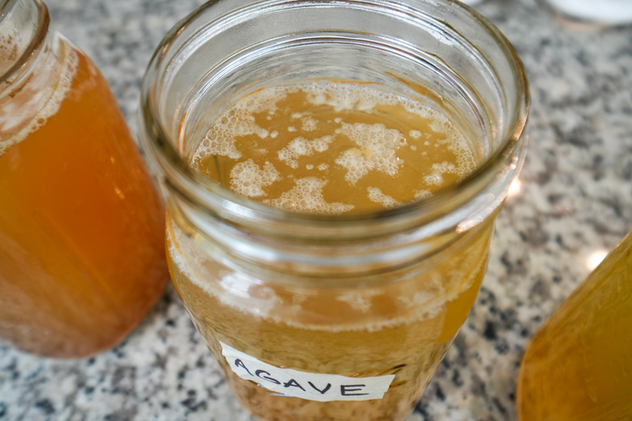 fermenting agave nectar