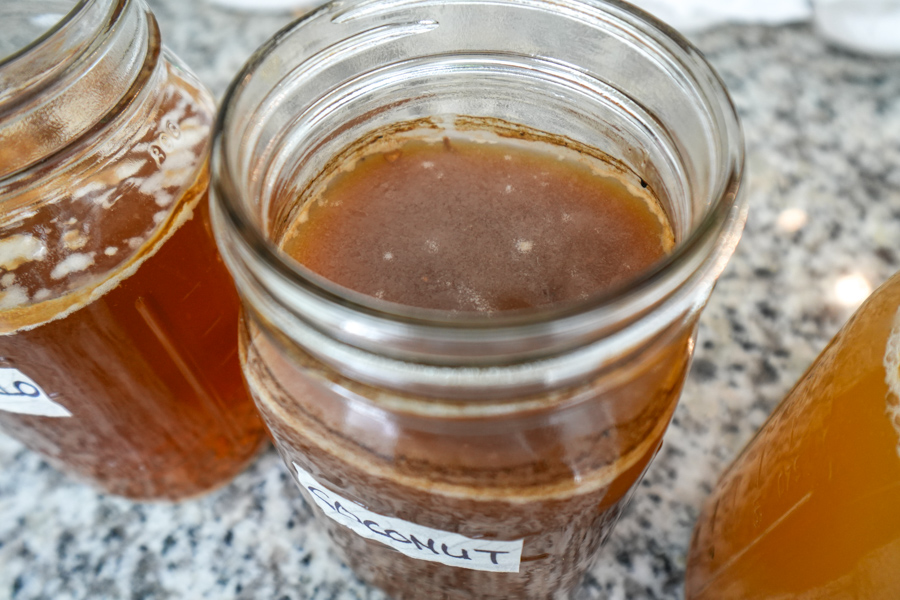 fermenting coconut sugar fail