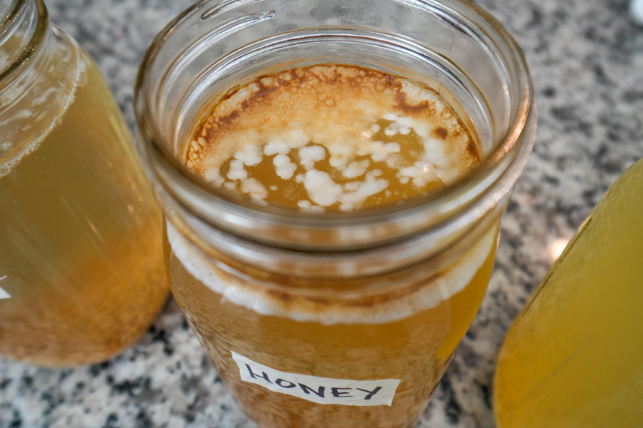 fermenting honey