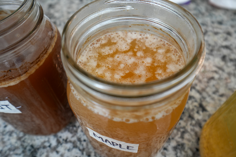 fermenting maple syrup