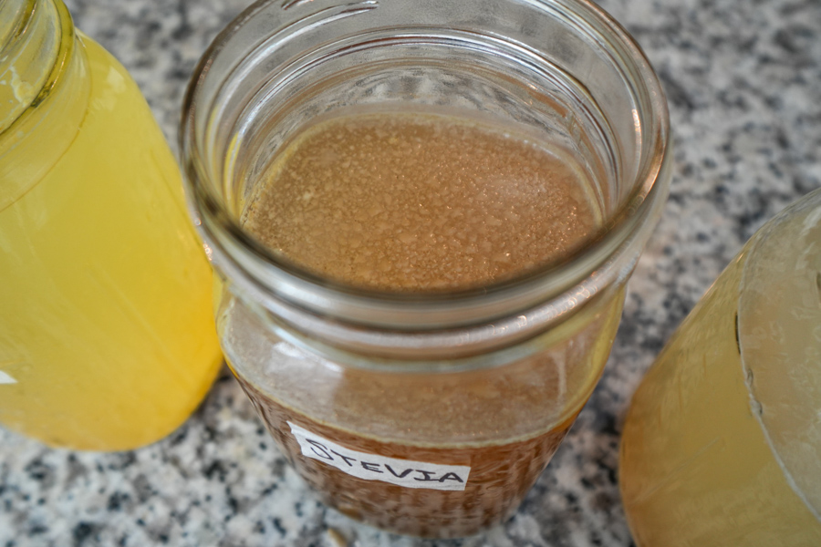 fermenting stevia