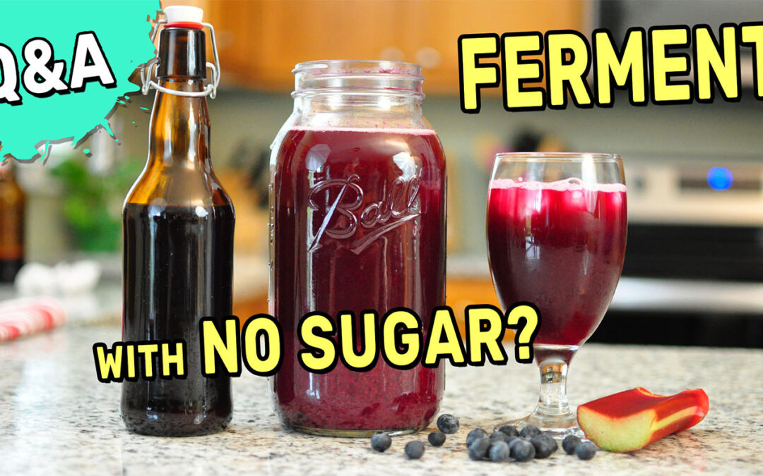 Q&A: Can You Ferment With No Sugar?