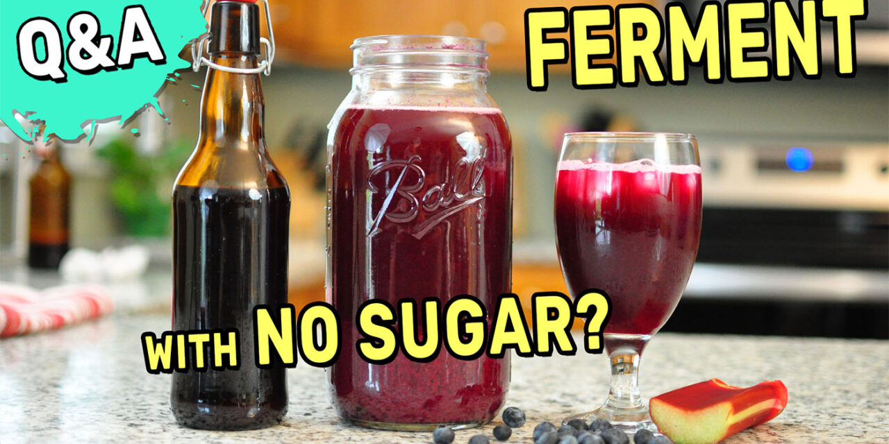 Q&A: Can You Ferment With No Sugar?