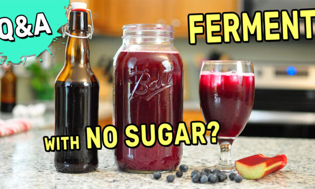 Q&A: Can You Ferment With No Sugar?