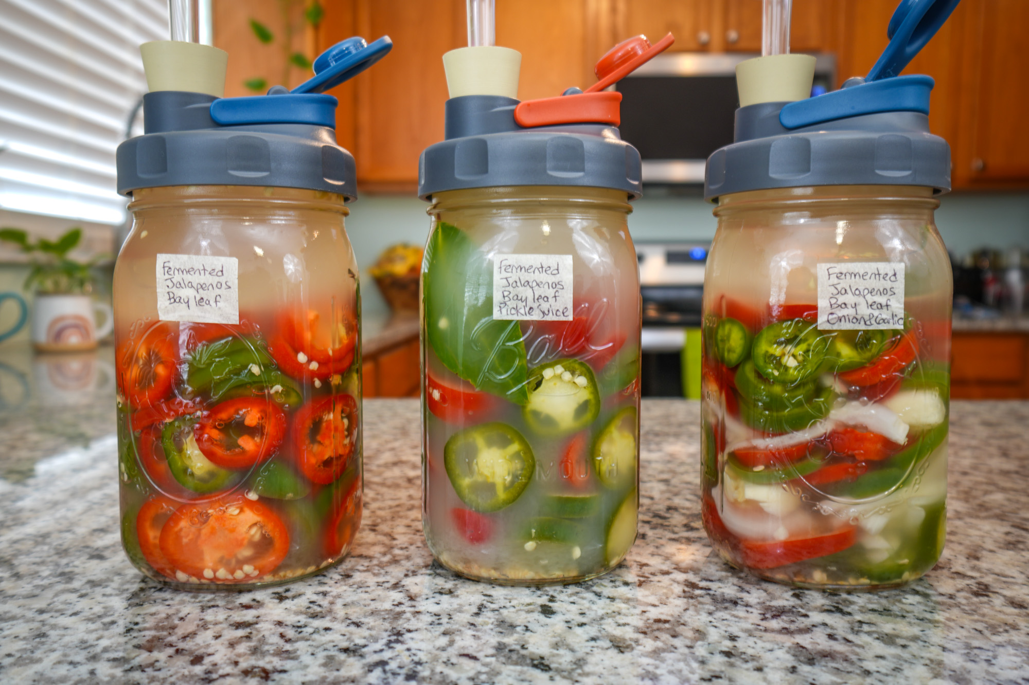 Lacto-fermented jalapeno peppers recipe