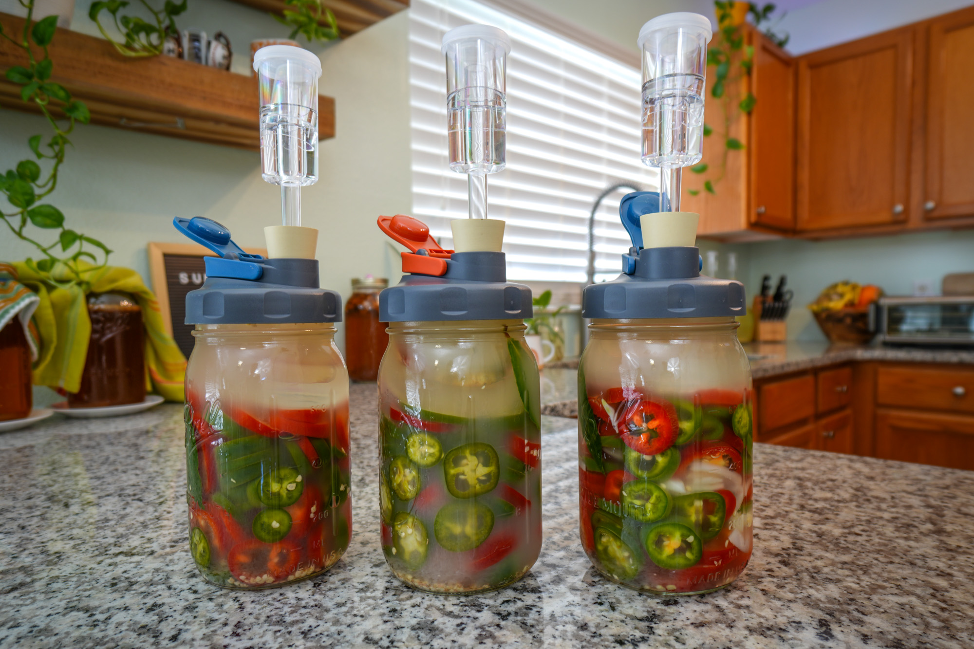 Making lacto-fermented jalapeno hot peppers