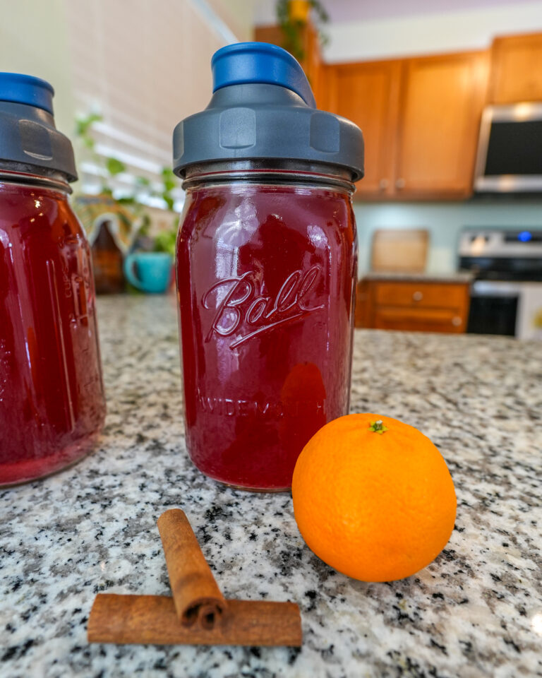 Fermented Hibiscus Tea with a Ginger Bug 🌸 3 Easy Recipes - The ...
