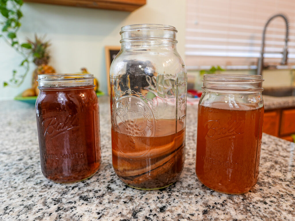how to make scoby hotel