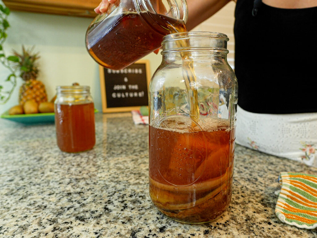 keeping a scoby hotel healthy