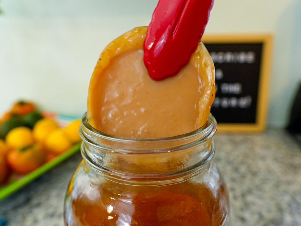 kombucha scoby