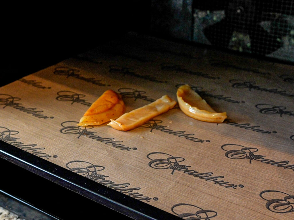 kombucha scoby jerky dehydrator