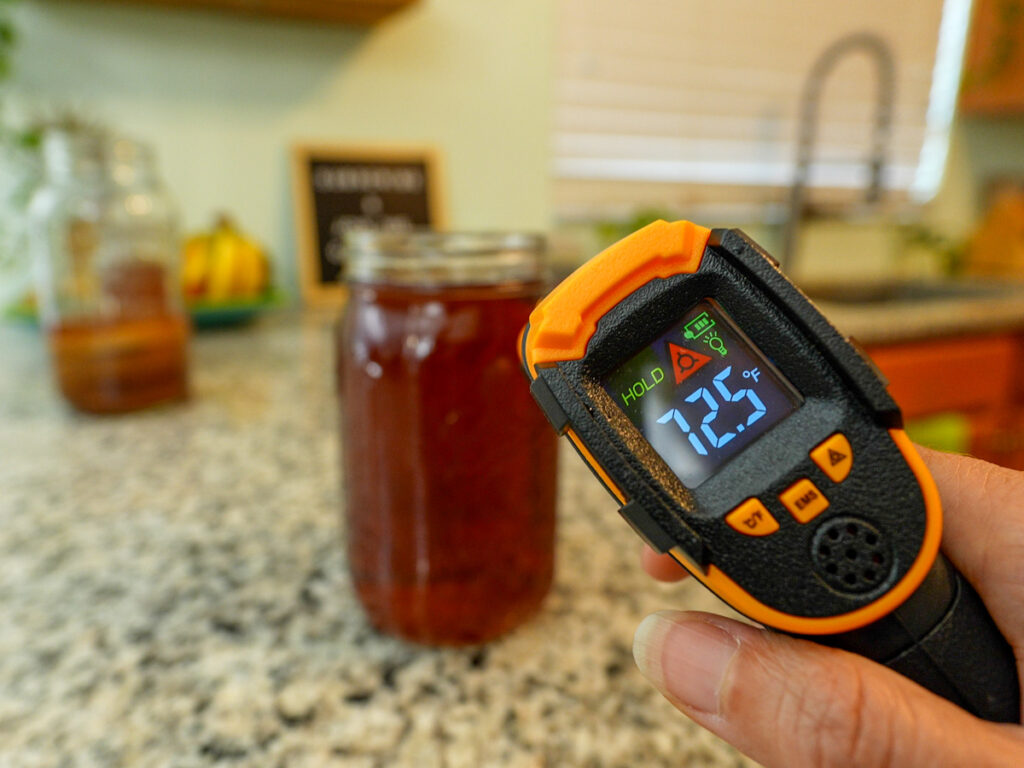 kombucha scoby temperature