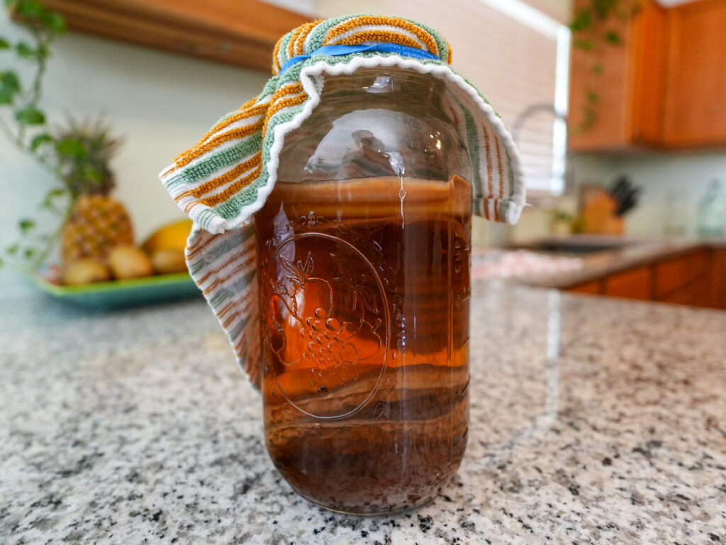 making a kombucha scoby