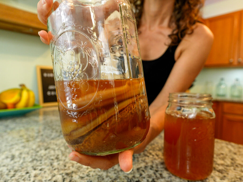 making a scoby hotel finished kombucha