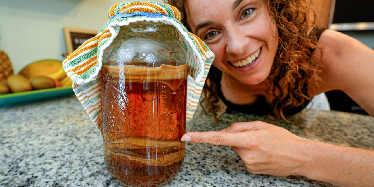 How to Make a Kombucha SCOBY Hotel