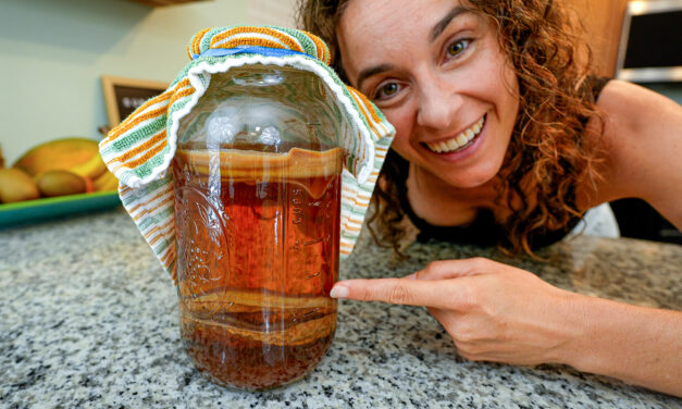 How to Make a Kombucha SCOBY Hotel